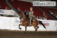 09buck-0915 proof