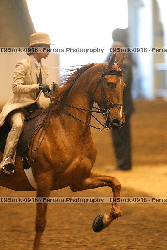 Proof 09buck-0916