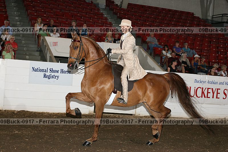 Proof 09buck-0917