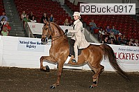 09buck-0917 proof