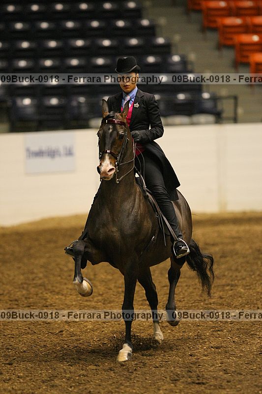 Proof 09buck-0918