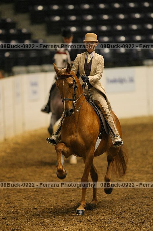 Proof 09buck-0922