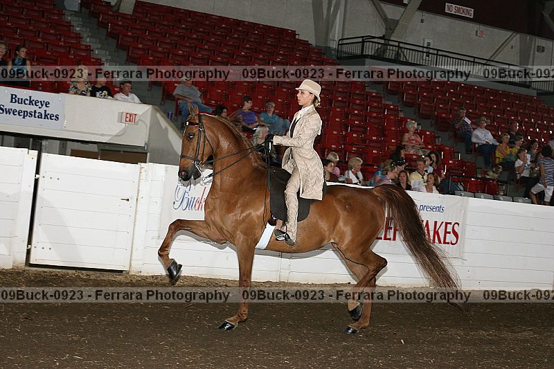 Proof 09buck-0923