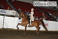 09buck-0923 proof