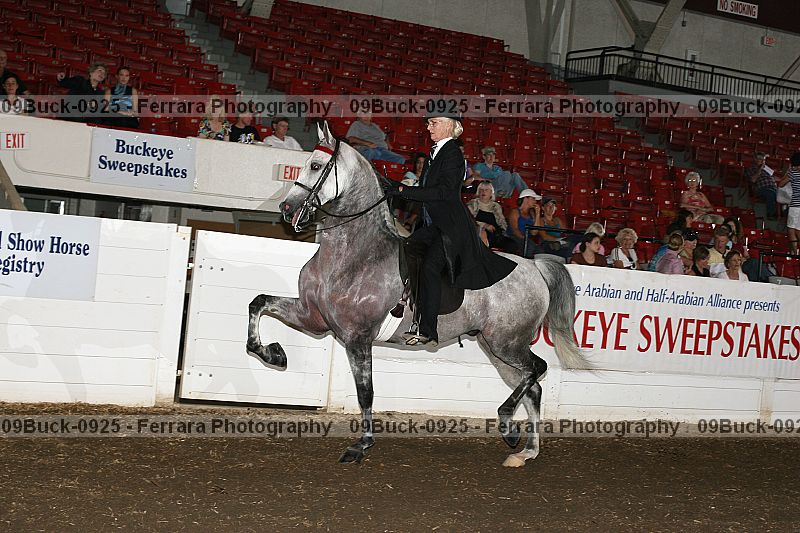 Proof 09buck-0925