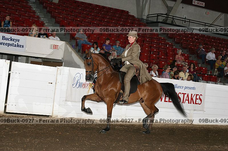 Proof 09buck-0927
