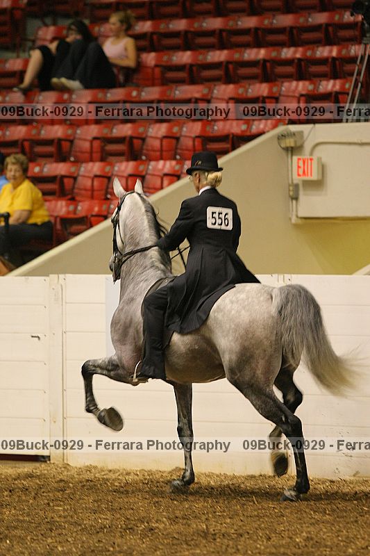 Proof 09buck-0929