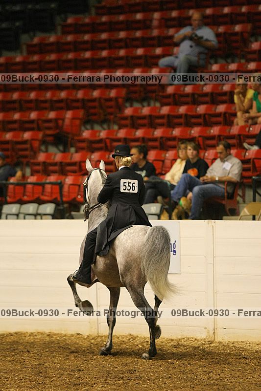 Proof 09buck-0930