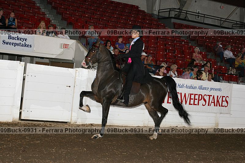Proof 09buck-0931