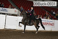 09buck-0931 proof