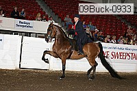 09buck-0933 proof