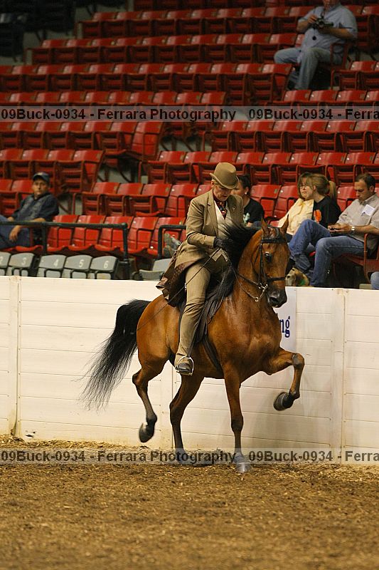 Proof 09buck-0934