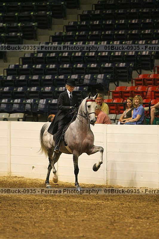 Proof 09buck-0935