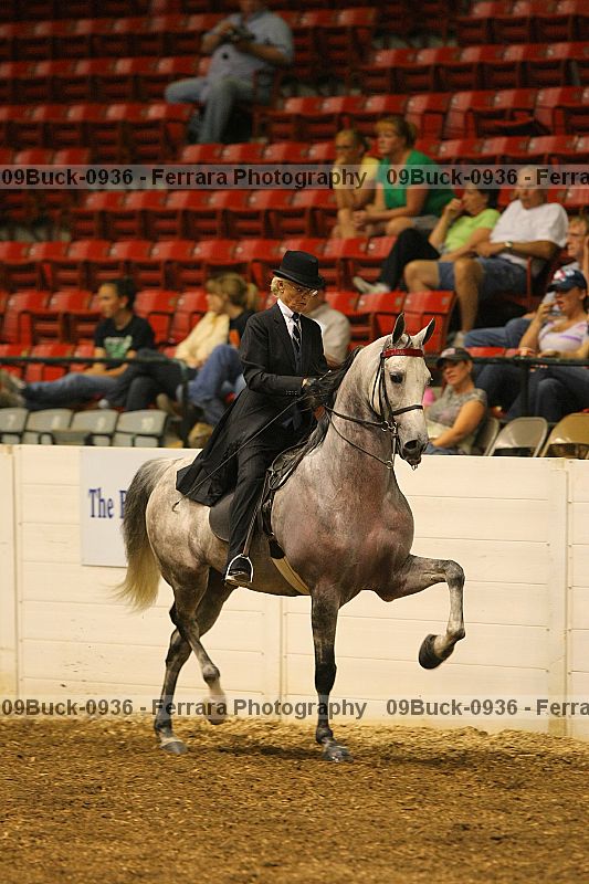 Proof 09buck-0936