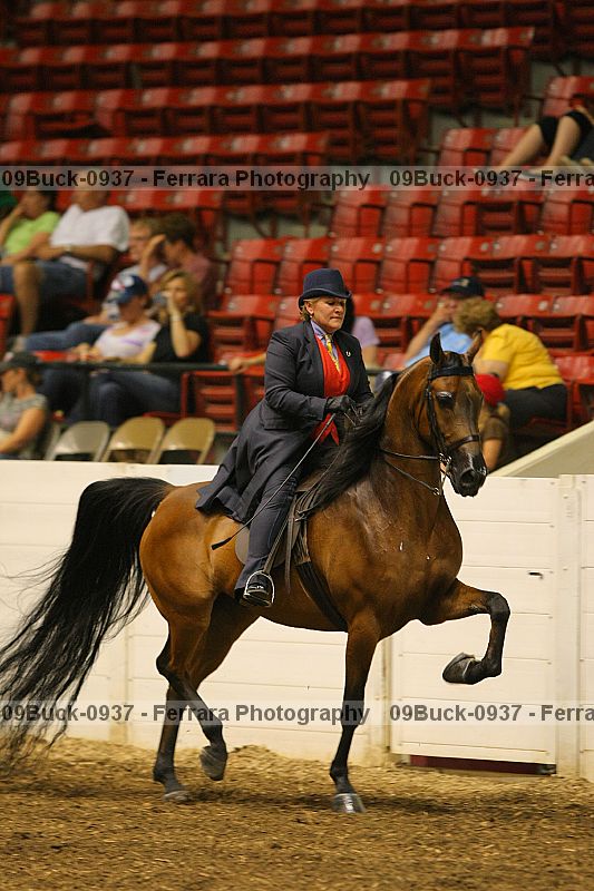 Proof 09buck-0937