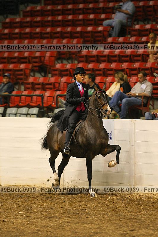 Proof 09buck-0939