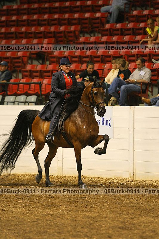 Proof 09buck-0941