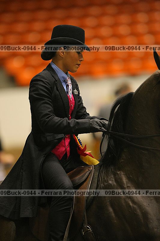 Proof 09buck-0944