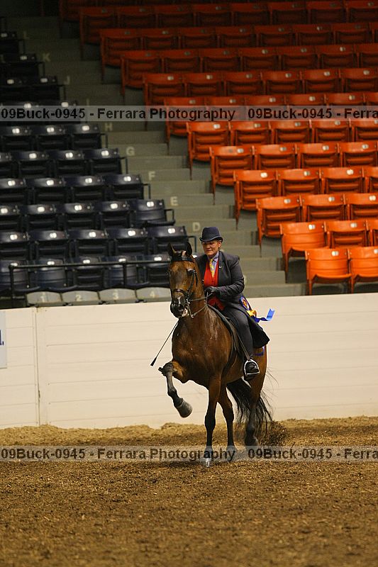 Proof 09buck-0945