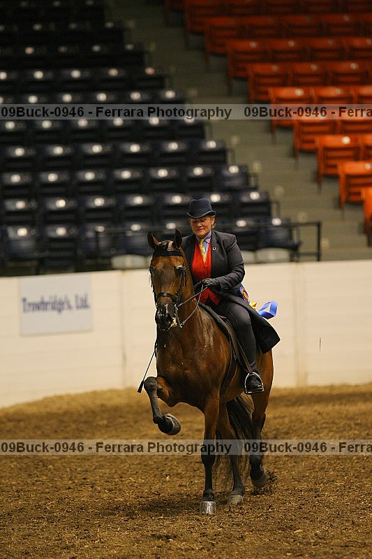 Proof 09buck-0946