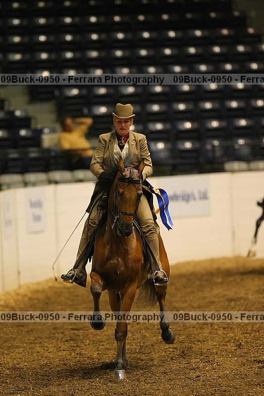 Proof 09buck-0950
