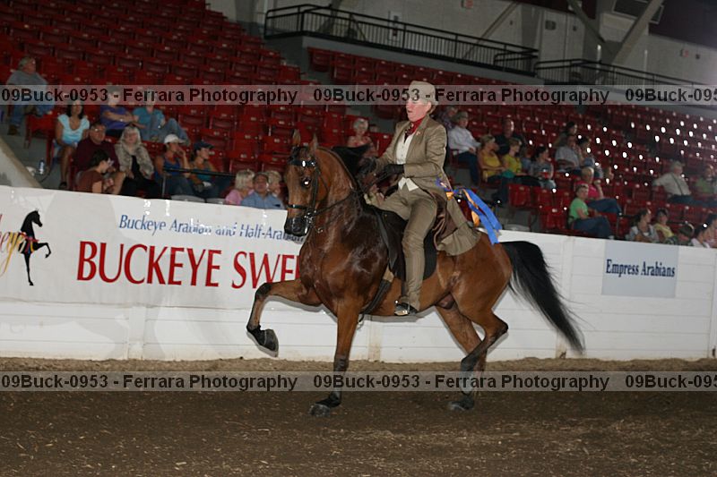 Proof 09buck-0953