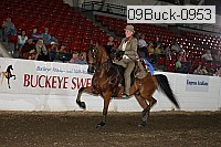 09buck-0953 proof