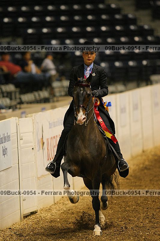 Proof 09buck-0954