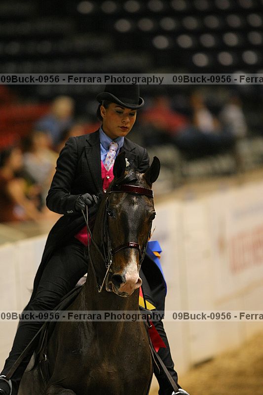 Proof 09buck-0956