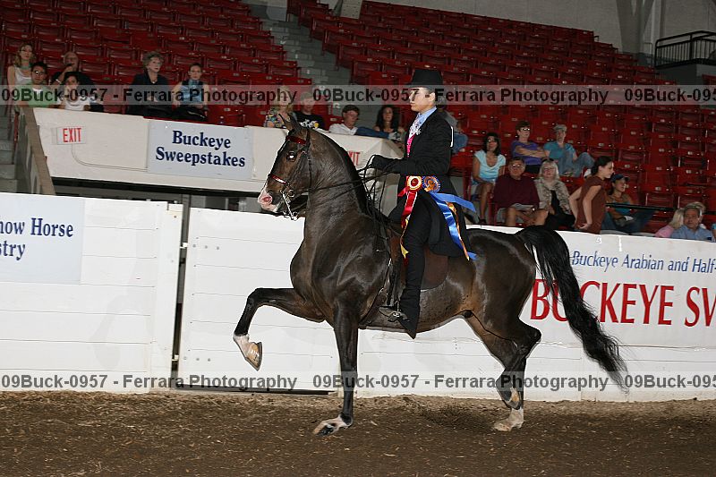 Proof 09buck-0957