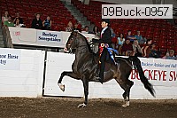 09buck-0957 proof