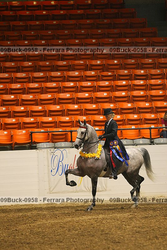 Proof 09buck-0958