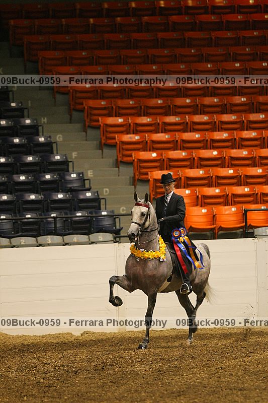 Proof 09buck-0959