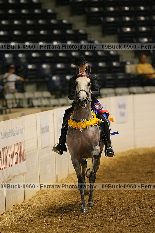 Proof 09buck-0960