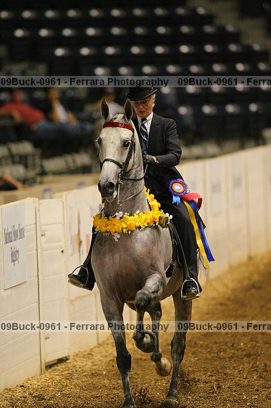 Proof 09buck-0961