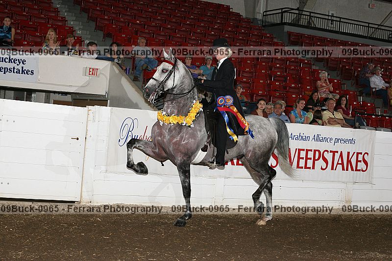 Proof 09buck-0965