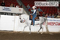 09buck-0972 proof
