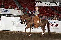 09buck-0976 proof
