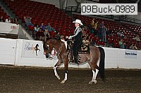 09buck-0989 proof