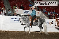 09buck-0993 proof