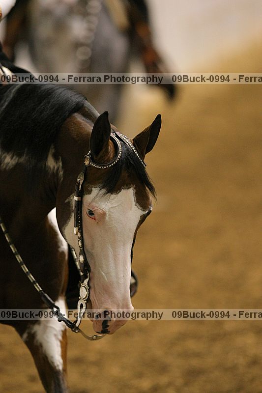 Proof 09buck-0994
