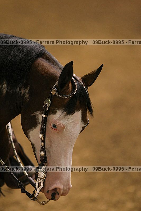Proof 09buck-0995