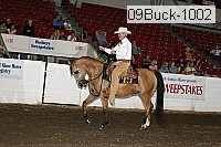 09buck-1002 proof