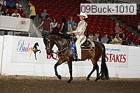 09buck-1010 proof