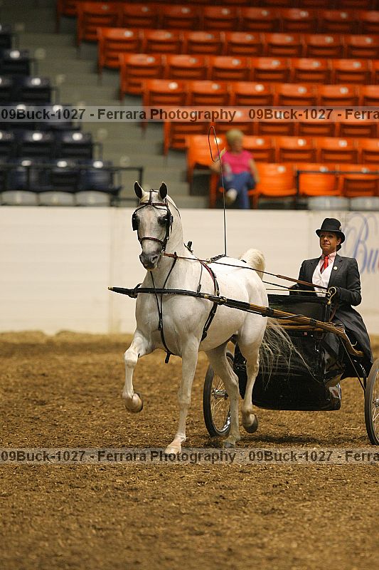 Proof 09buck-1027