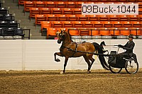 09buck-1044 proof