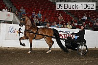 09buck-1052 proof
