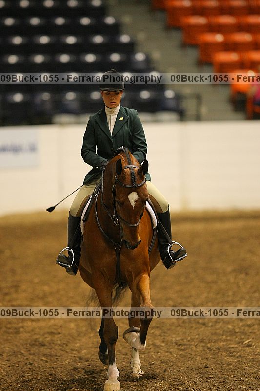 Proof 09buck-1055