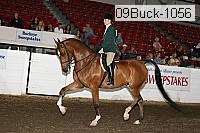 09buck-1056 proof