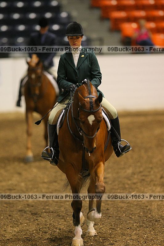 Proof 09buck-1063
